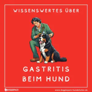 wissenswertes-über-gastritis-beimm-hund