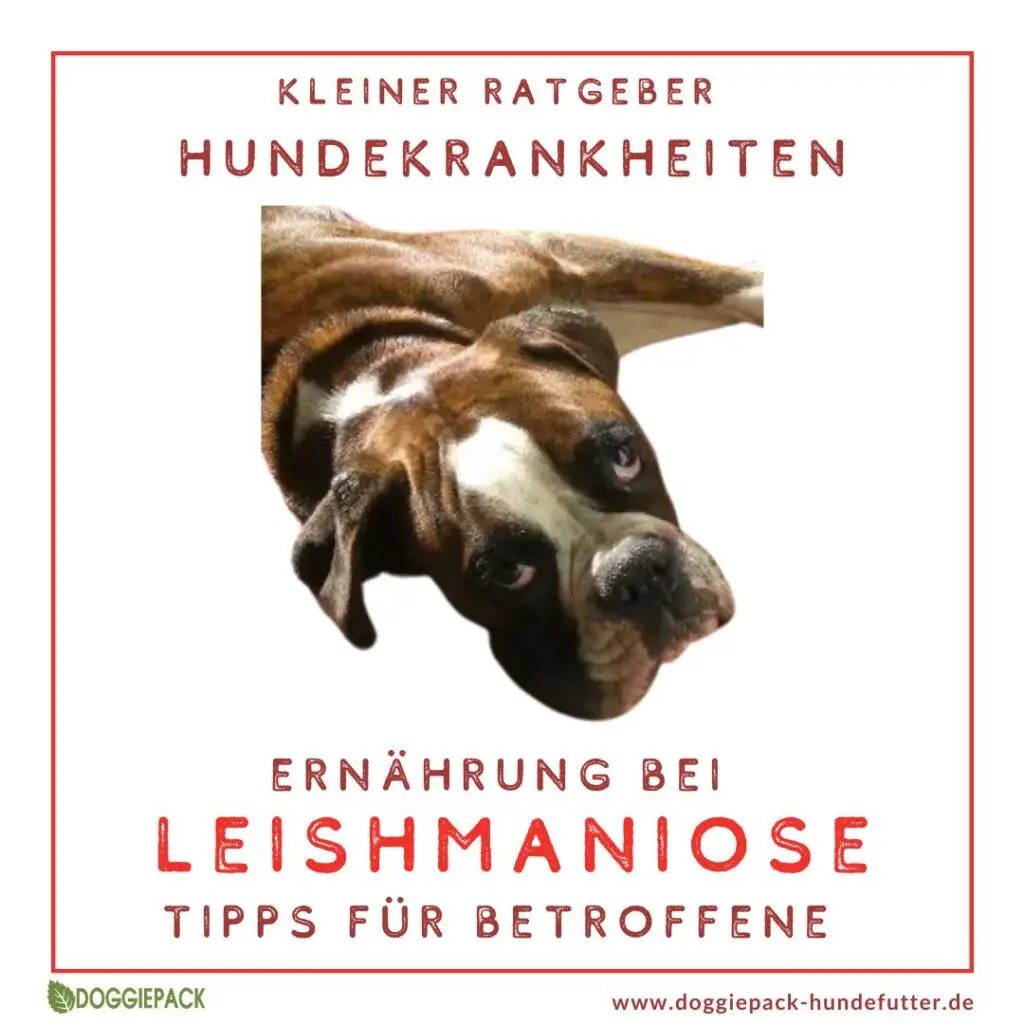 Ernährung Leishmaniose