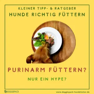 soll-ich-meinen-hund-purinarm-fuettern