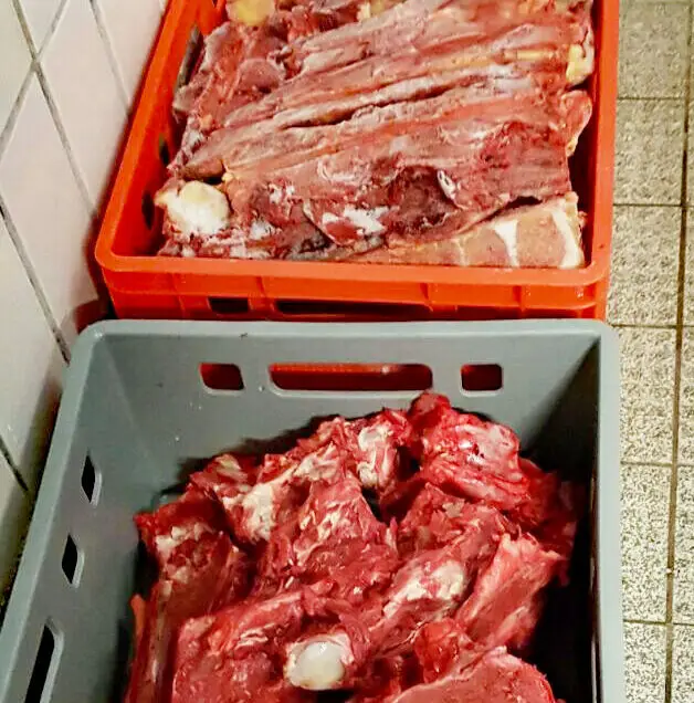 pferdefleisch_doggiepack_tierfreund_frisch_hessen