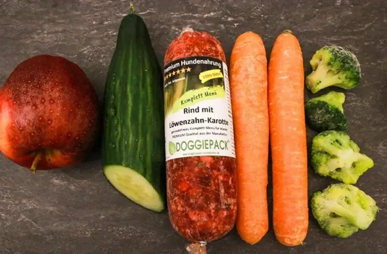 hunde-wurst-barf-rind-loewenzahn-karotte-nachhaltiges-hundefutter-ist-mehr-als-nur-rohstoffe-aus-der-region-zu-verwenden