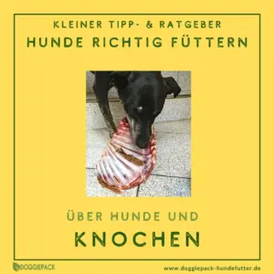 hunde-knochen-richtig-füttern