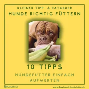Ratgeber-hundefutter-einfach-aufwerten
