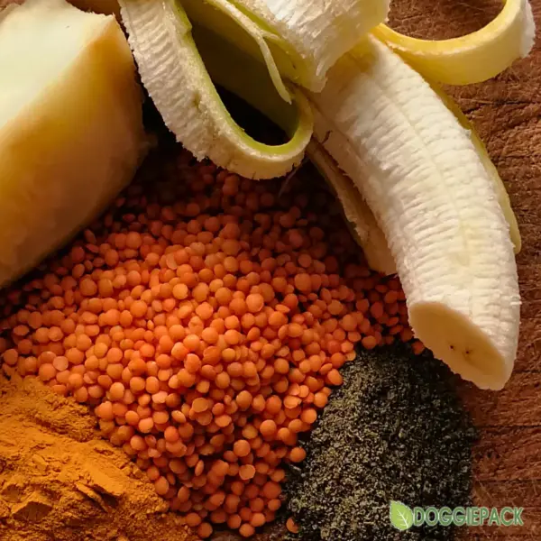 frische-zutaten-fuer-hundefutter