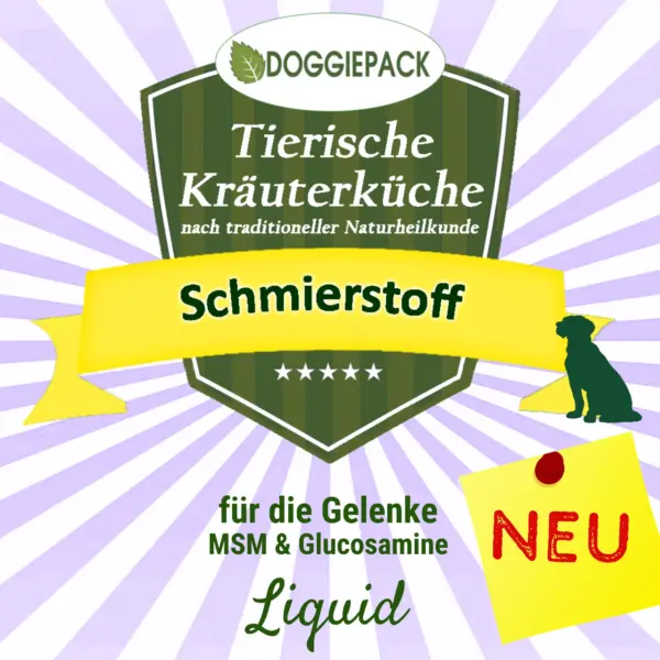 Schmierstoff - das Gelenk-Liquid - MSM Glucosamin – Bild 2