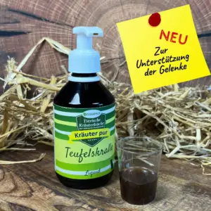 teufelskralle-fuer-hunde-kann-bei-arthrose-helfen