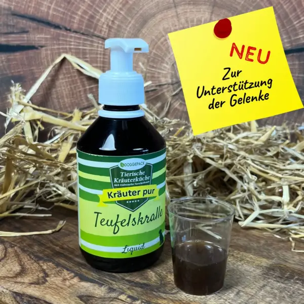 teufelskralle-fuer-hunde-kann-bei-arthrose-helfen
