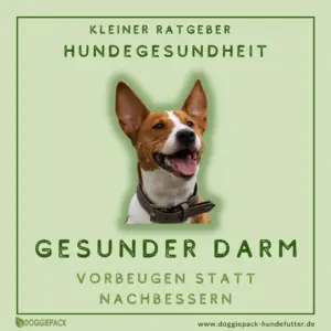 ratgeber-hunde-gesundheit-gesunder-darm