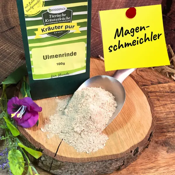 Ulmenrinde – Bild 2
