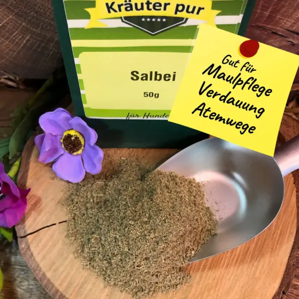 Salbei – Bild 2