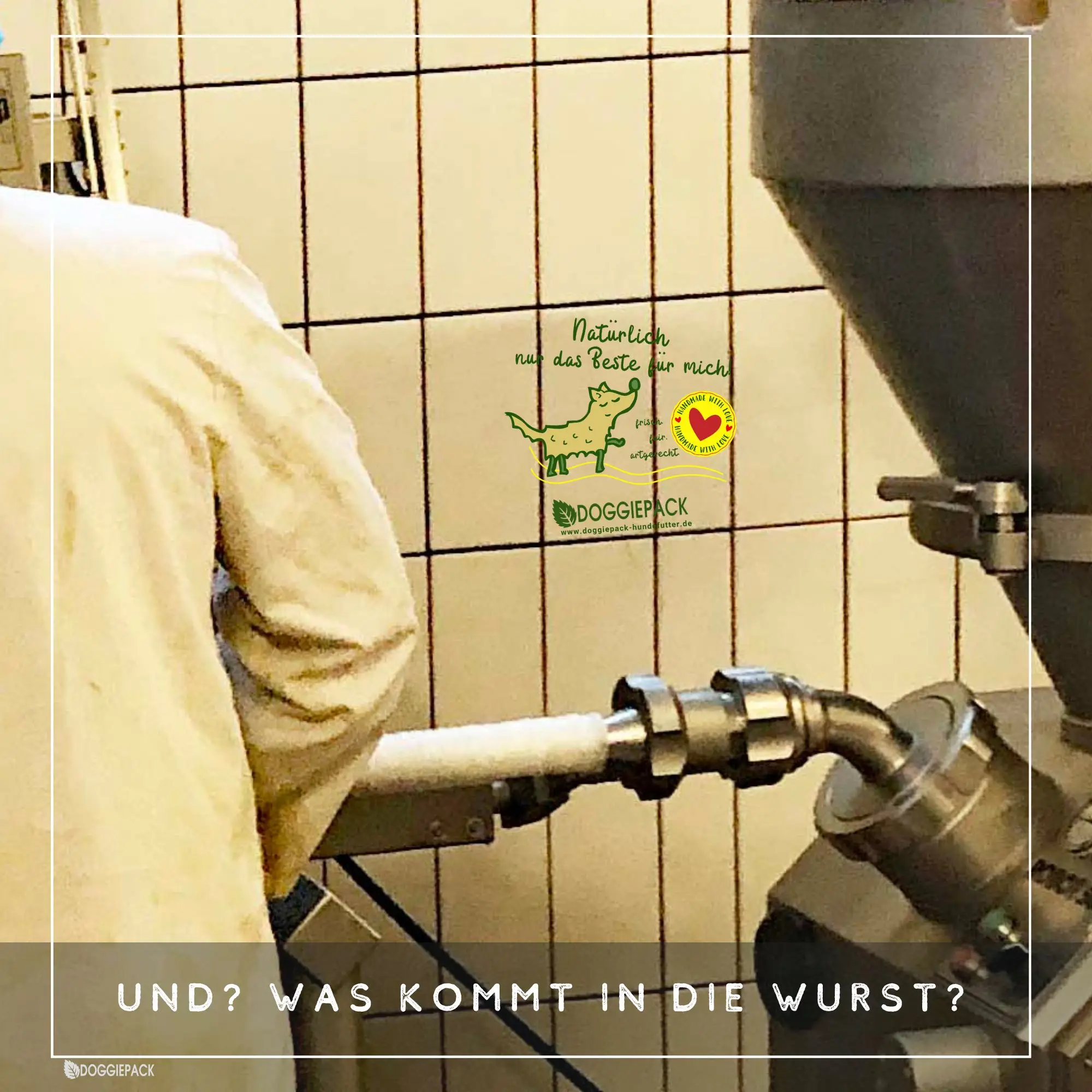 hundefutter-produktion-abfüllung-bei-doggiepack