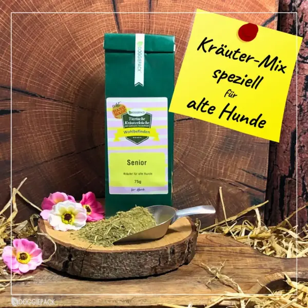 Senior Kräuter-Mix – Bild 2