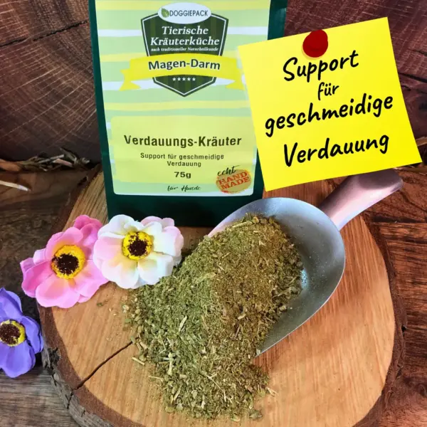 Verdauungs-Kräuter – Bild 2