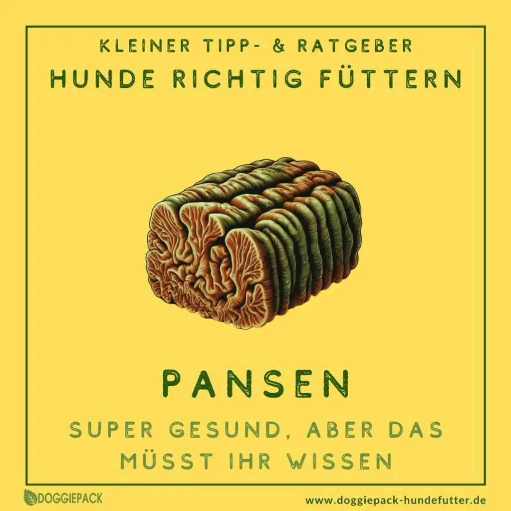 pansen-fuer-hunde-das-muesst-ihr-wissen-ratgeber