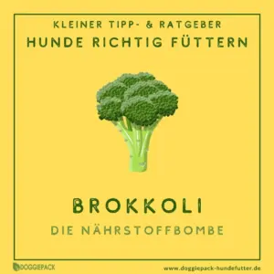 brokkoli-fuer-hunde
