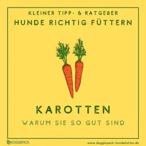 karotten-fuer-hunde-richtig-zubereiten