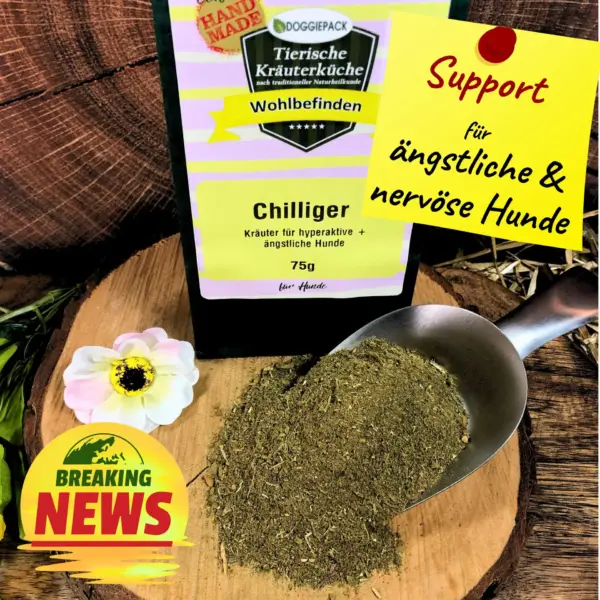 Chilliger - Angst & Nervosität – Bild 2
