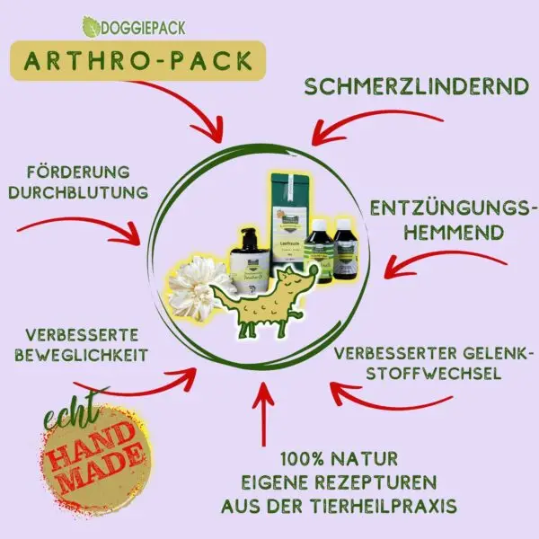 diese-kraeuter-helfen-bei-arthrose-beim-hund