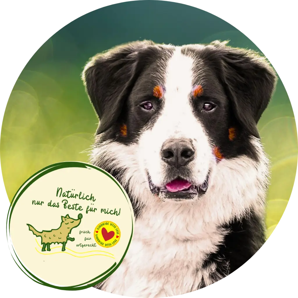 Doggiepack-natuerlich-nur-das-beste-hundefutter-fuer-mich